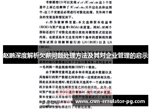 赵鹏深度解析欠薪问题处理方法及其对企业管理的启示 赵鹏深度解析欠薪问题处理方法及其对企业管理的启示