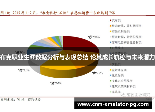 布克职业生涯数据分析与表现总结 论其成长轨迹与未来潜力