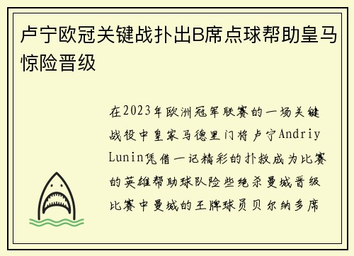 卢宁欧冠关键战扑出B席点球帮助皇马惊险晋级 卢宁欧冠关键战扑出B席点球帮助皇马惊险晋级